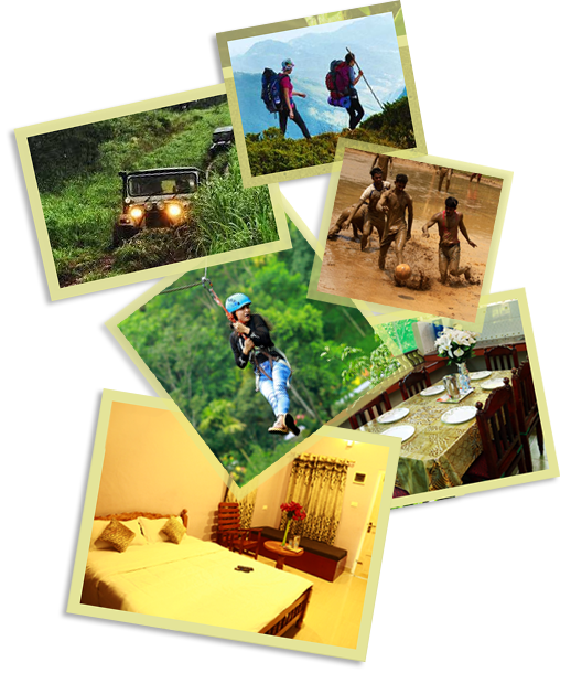 wayanad homestay 